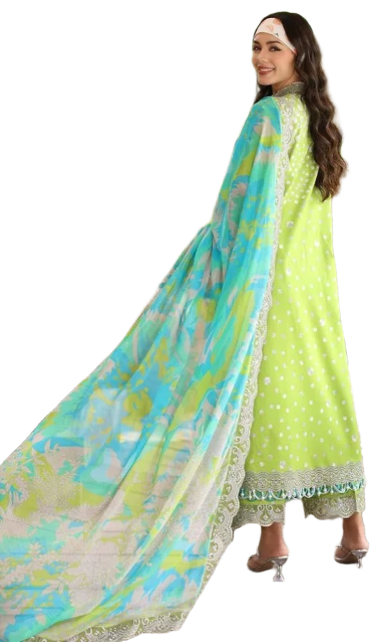 Charizma - Aniiq Embroidered Printed Lawn Collection - AN5-13 / SD00185 view 4