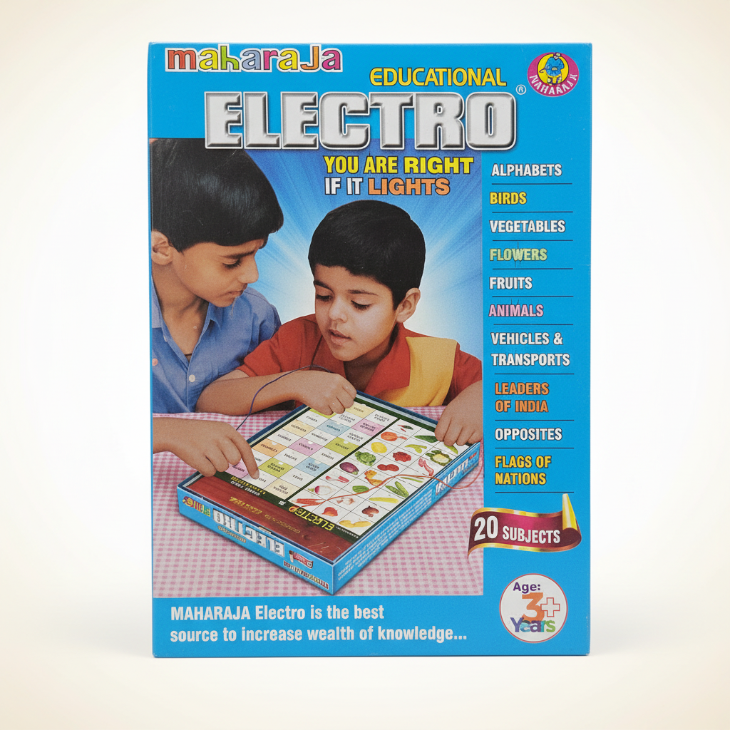 Maharaja Electro Educational Game