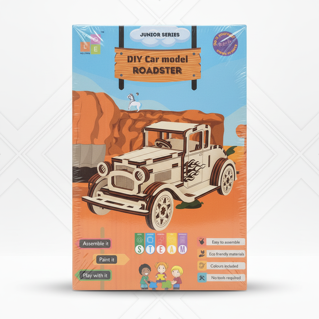 DIY Car model ROADSTER