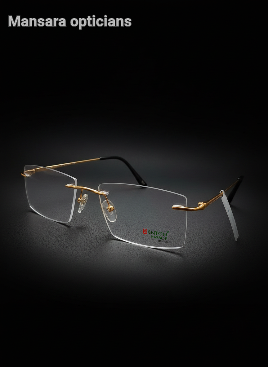 Benton Harbor Eyeglasses