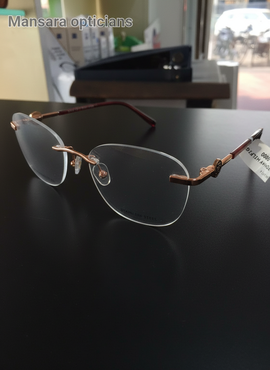 Stainless Steel Eyeglass Frame