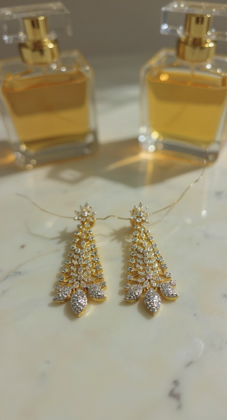 Traditional Silver Earrings view 4