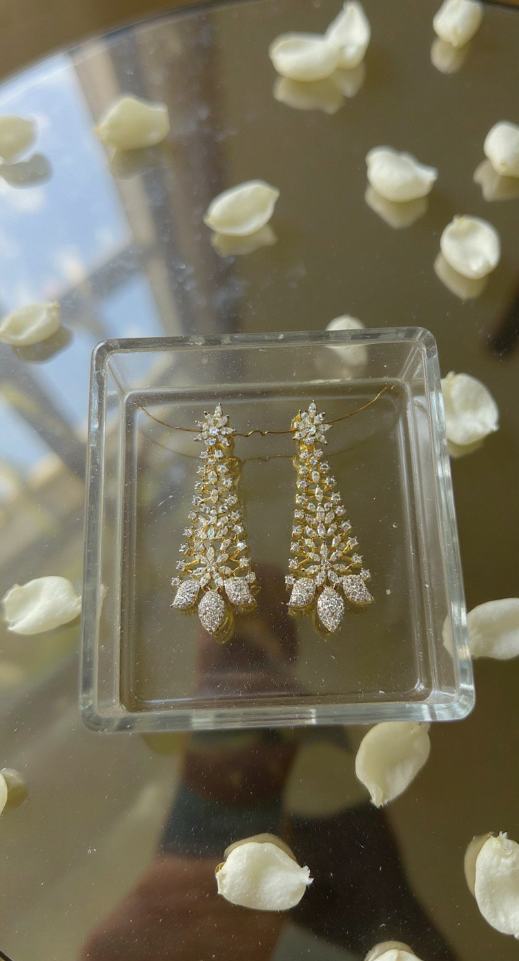 Traditional Silver Earrings view 3