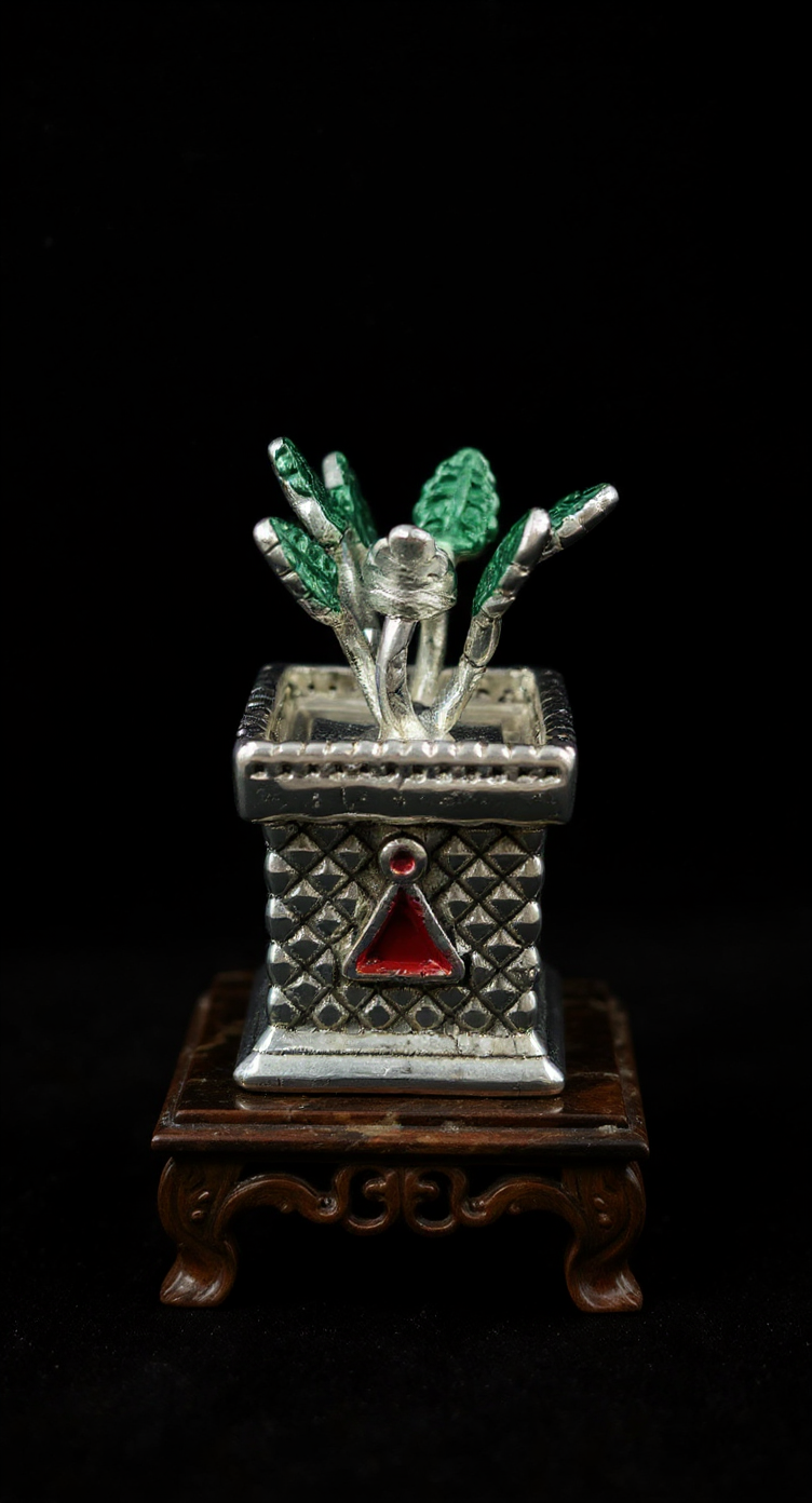 Silver Tulsi Plant  999